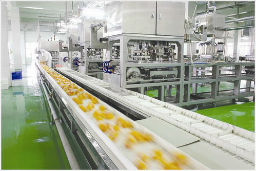 食品生产车间人流与物流的工程技术服务 保障安全与效率的双重维度