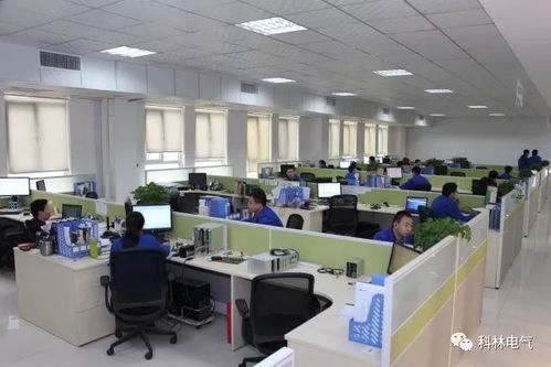 建优质项目 铸精品工程——走进科林电力工程总承包的卓越工程管理服务